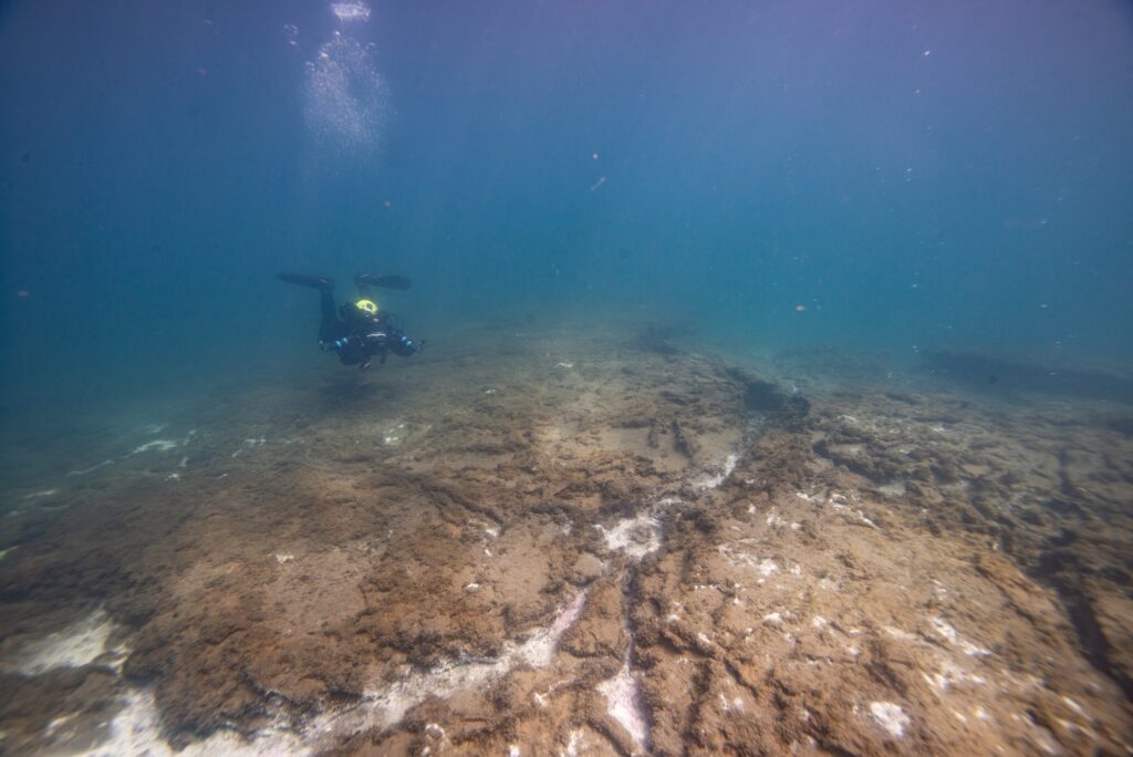 Taucher über dem geothermalen Feld am Grund des Kleifarvatn, helle Mineralablagerungen im braunen Seegrund